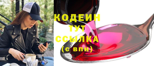 шишки Нязепетровск
