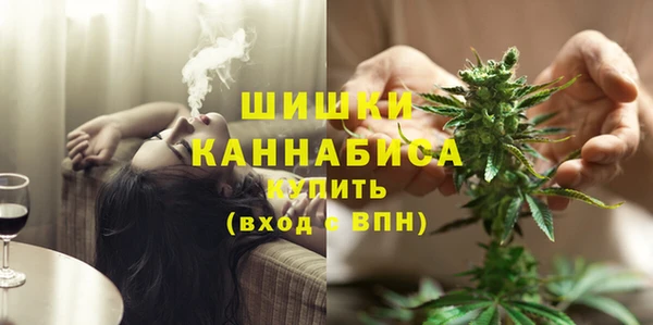 шишки Нязепетровск