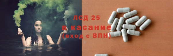шишки Нязепетровск