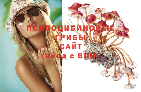 шишки Нязепетровск
