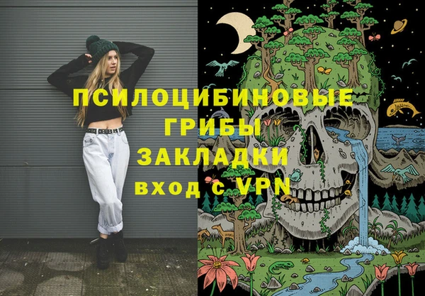 ALPHA-PVP Няндома