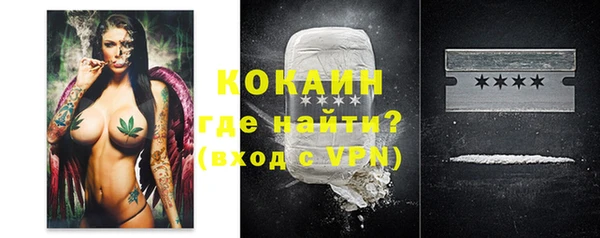 шишки Нязепетровск