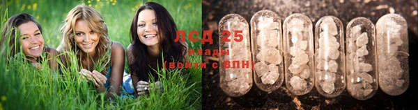 шишки Нязепетровск