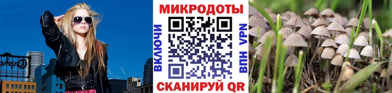 Галлюциногенные грибы ЛСД  Рославль 
