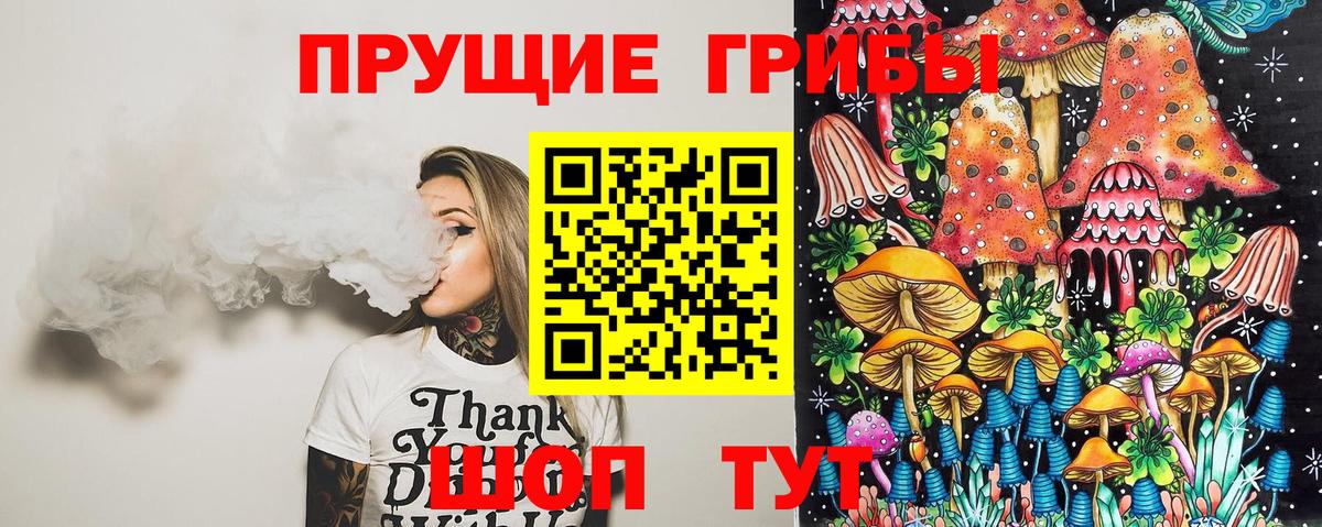 Псилоцибиновые грибы Psilocybe  Рославль  Галлюциногенные грибы Cubensis 