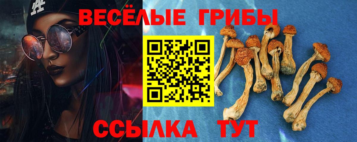 Галлюциногенные грибы Psilocybine cubensis  наркотики  Псилоцибиновые грибы Magic Shrooms  Рославль  Вход с VPN 